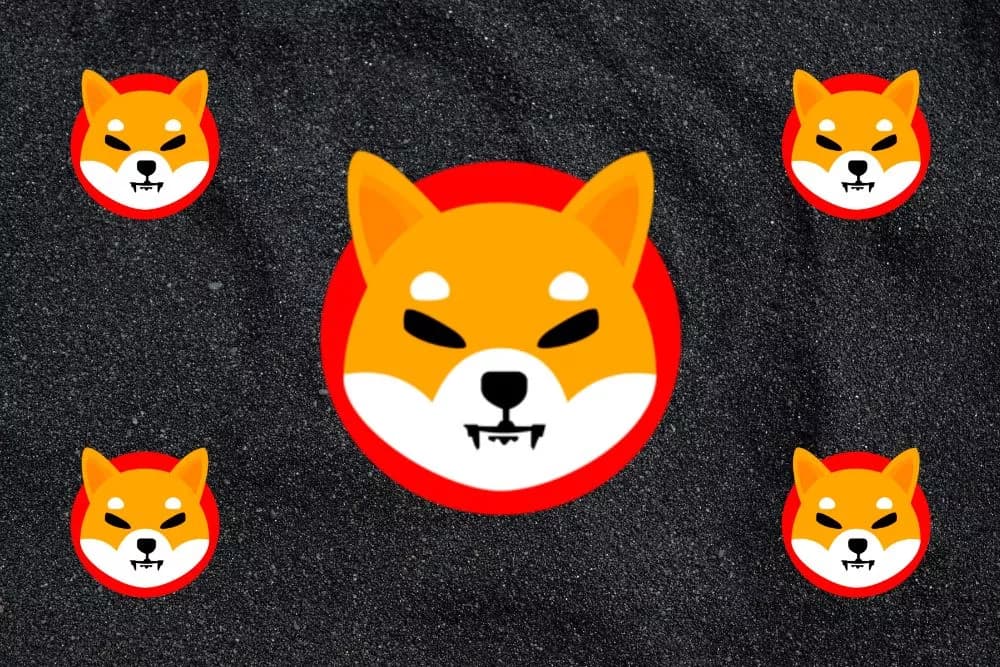 Five Years of SHIB: How the Meme Coin Built a Lasting Ecosystem