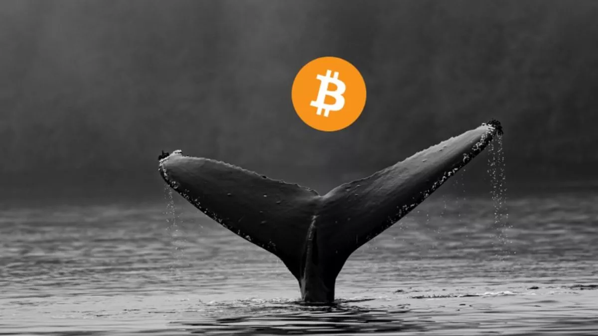 Dormant Bitcoin Giant Stirs: $8.7B in BTC Moves After 14 Years