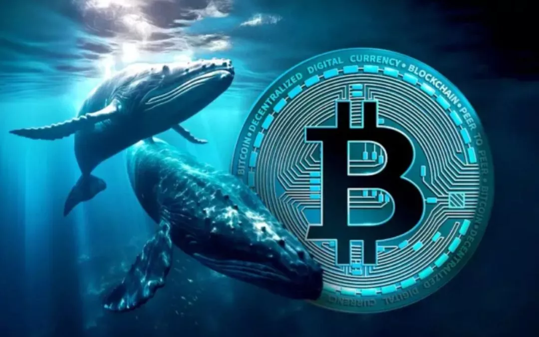 Dormant Satoshi-Era Whale Moves $4.7B in Bitcoin, Stirring Market Jitters and Speculation