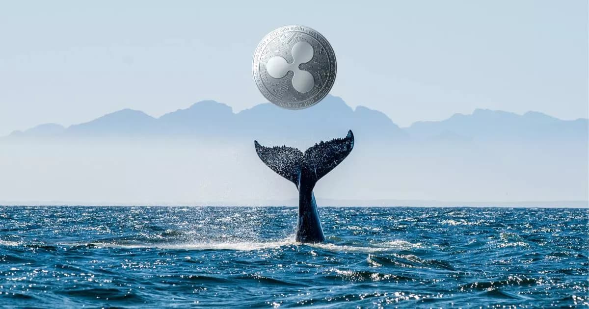 Whale Alert on Upbit Sparks XRP Frenzy Before On-Chain Data Calms Markets