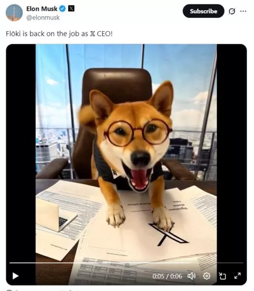 Elon Musk’s Shiba Joke Ignites a Frenzied FLOKI Rally Across the Meme Coin Market