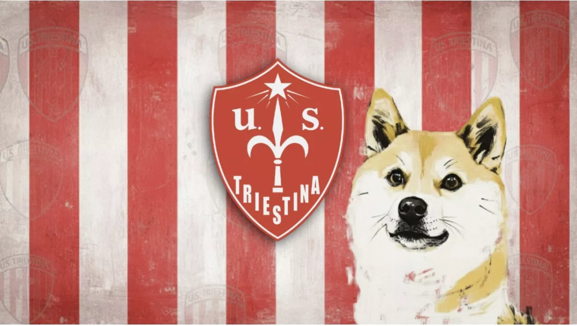Dogecoin Foundation Takes Majority Stake in Italian Football Club Triestina Calcio