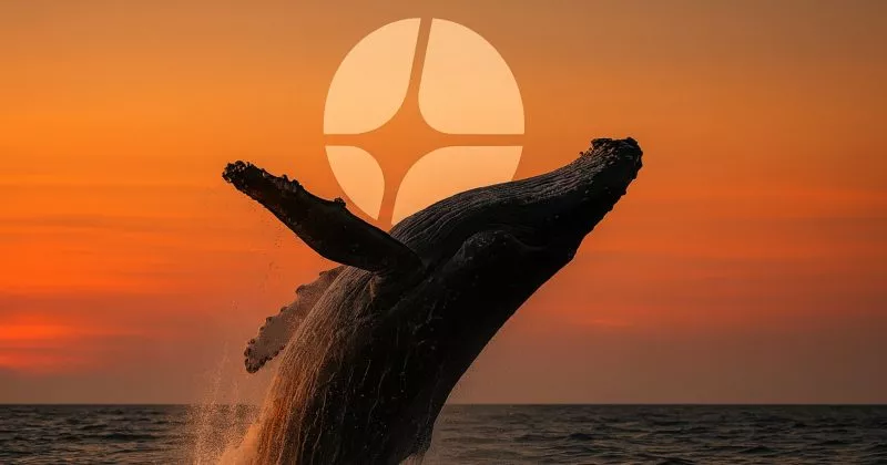 Whale Accumulation Sparks Hope for Aster’s Next Market Breakout