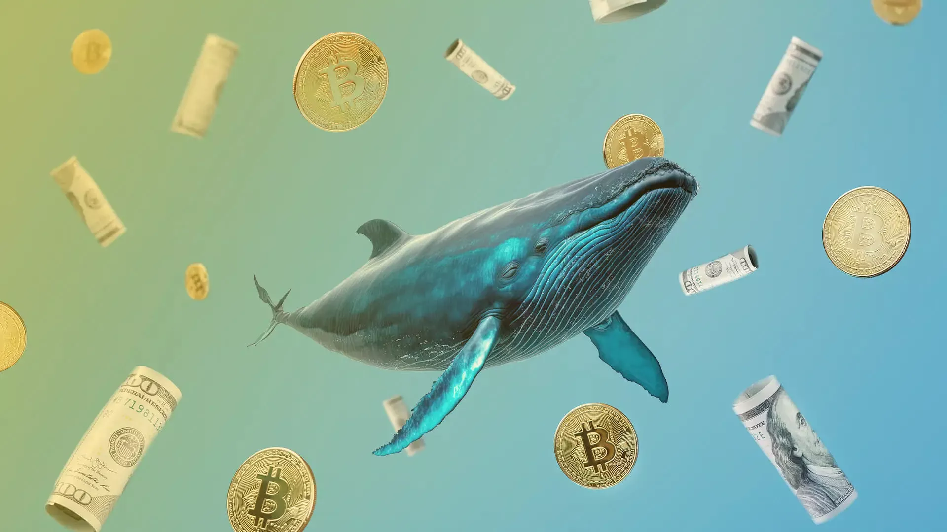 When Whales Hunt: Inside the Silent Wars of Crypto’s Deepest Wallets