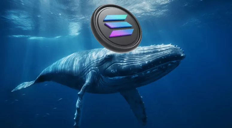 Solana Whale Returns After Months of Silence and Locks $4.25 Million Into Staking