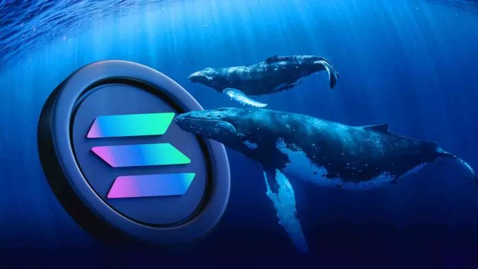 Solana Whale Moves $89M to Coinbase, Stirring Fears of Market Dump