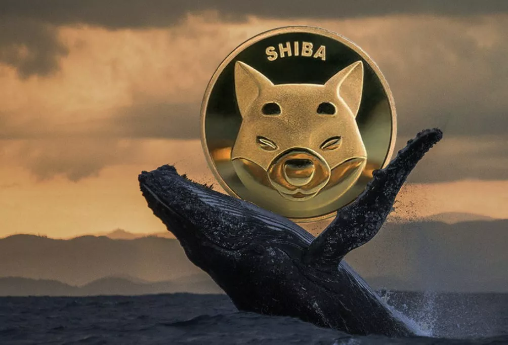 Whale Wallet Withdraws 110 Billion SHIB from Binance Amid Market Turmoil