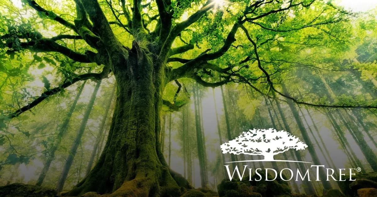WisdomTree Expands Tokenized Finance with Private Credit Fund on Ethereum and Stellar