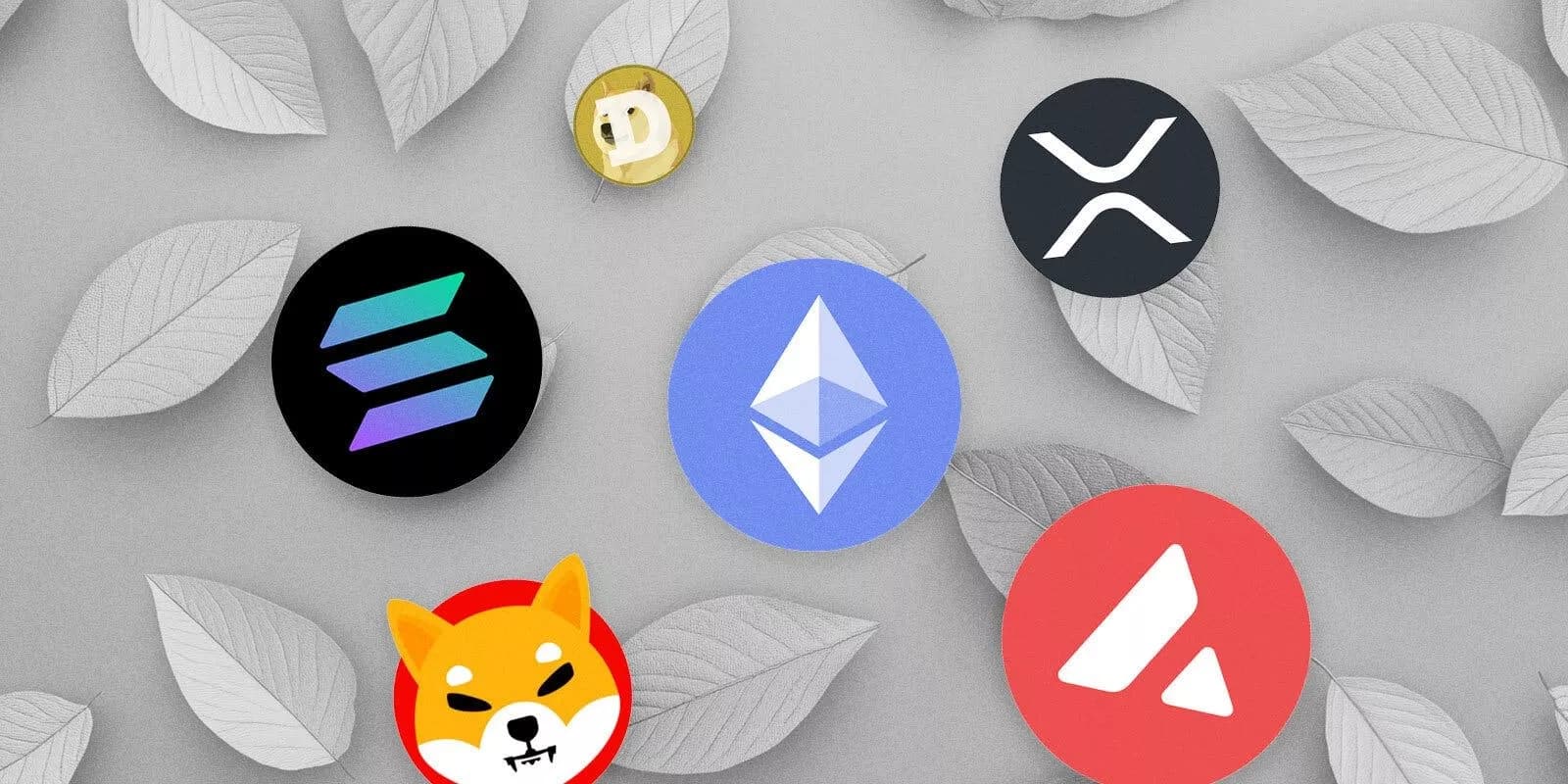 Altcoins: Powering the Next Wave of Blockchain Innovation